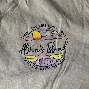 Gildan Gray Short Sleeve Tee with Colorful Graphic